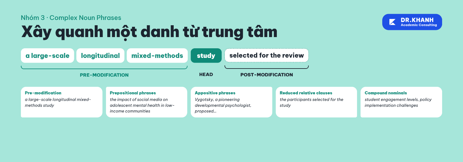 Vocabulary structure
